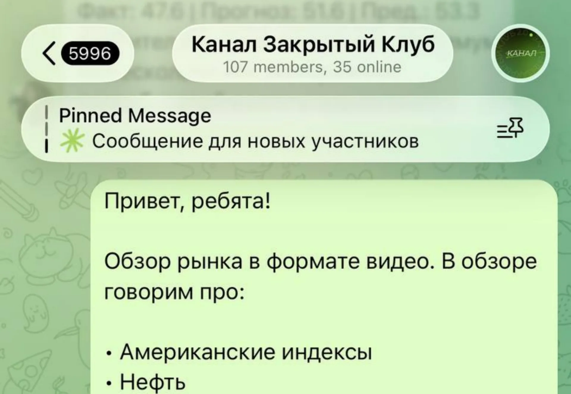 Наташа лично отвечает в чате участников